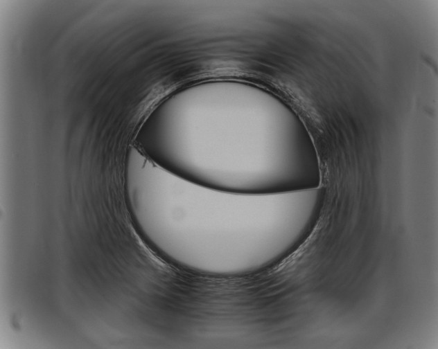 X0000097501225200802220834