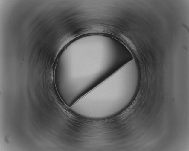X0000097501226200802220834