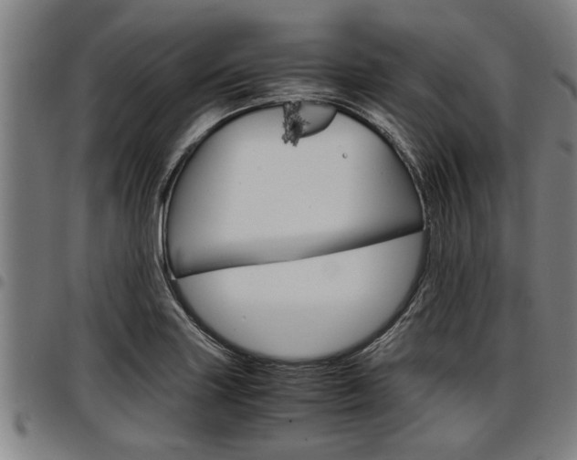 X0000097501227200802220834