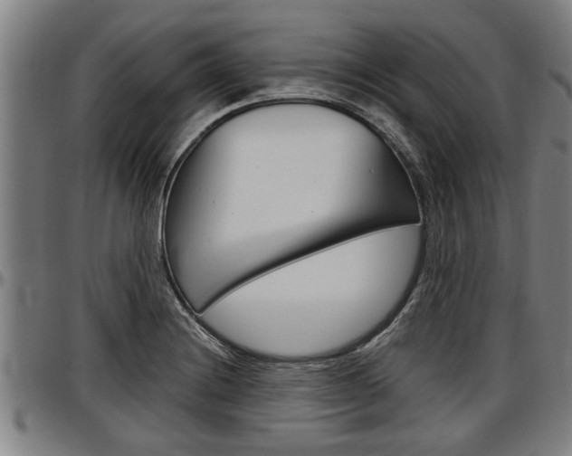 X0000097501228200802220834
