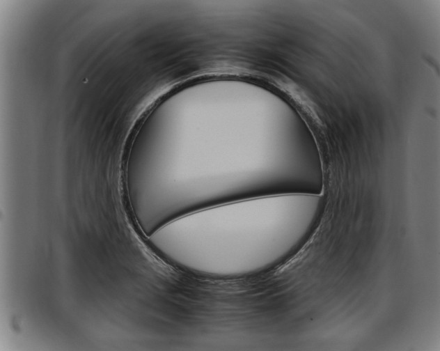 X0000097501229200802220834