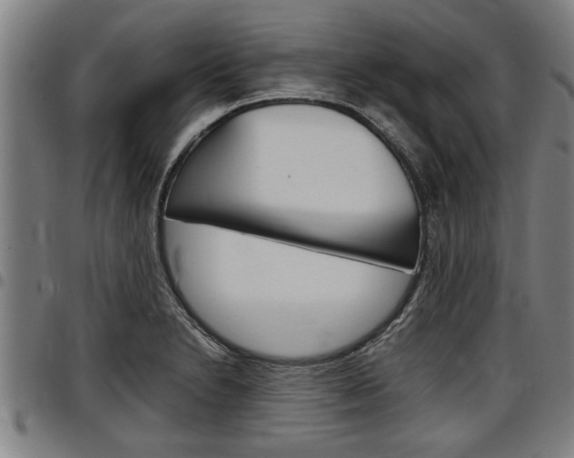 X0000097501230200802220834