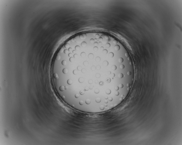X0000097501231200802220834