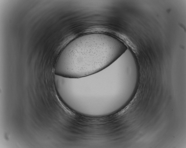 X0000097501233200802220834