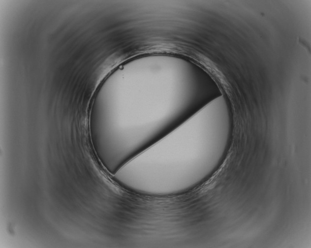 X0000097501234200802220834