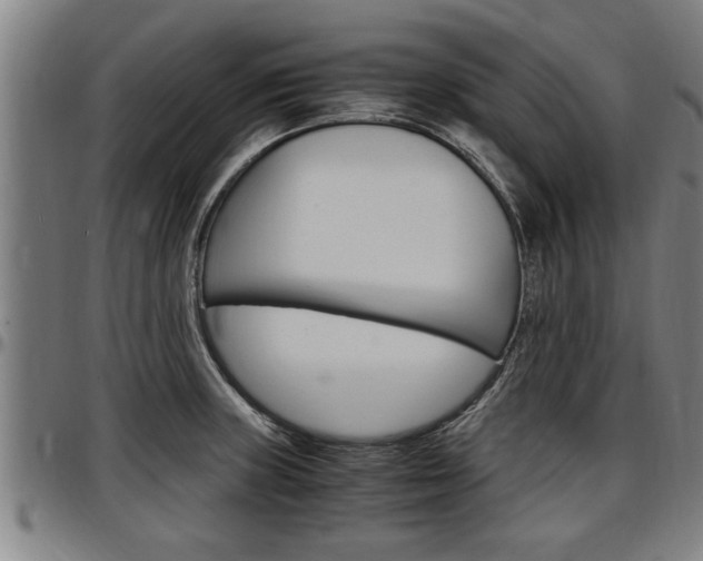 X0000097501235200802220834