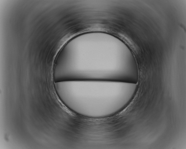 X0000097501236200802220834