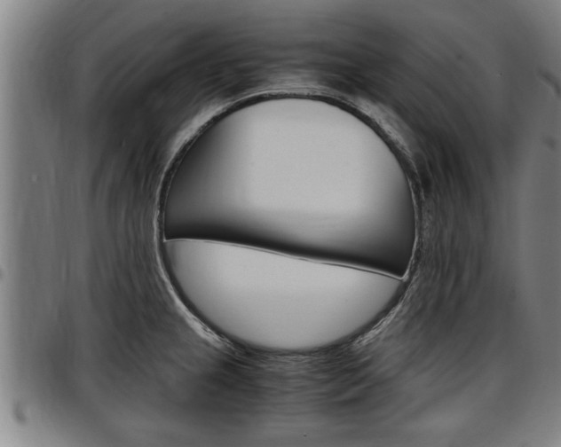 X0000097501237200802220834