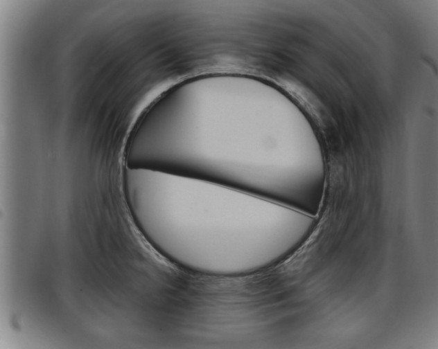 X0000097501238200802220834