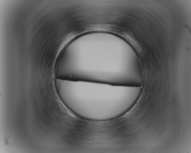 X0000097501240200802220834