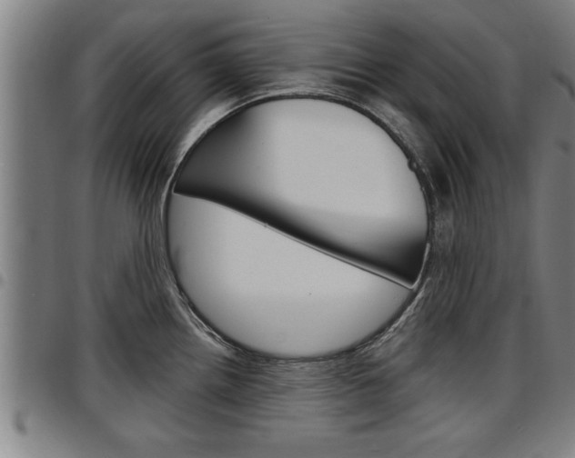 X0000097501242200802220834