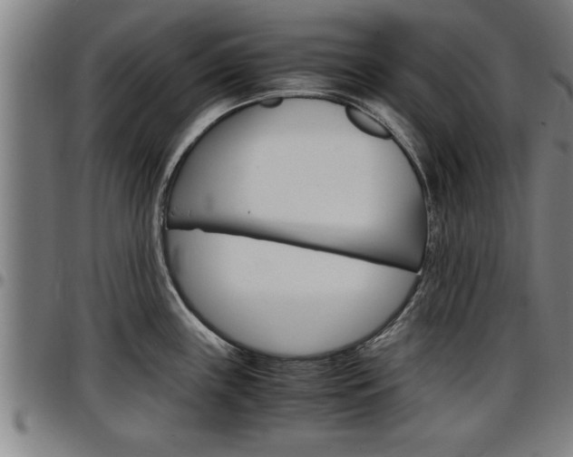 X0000097501243200802220834