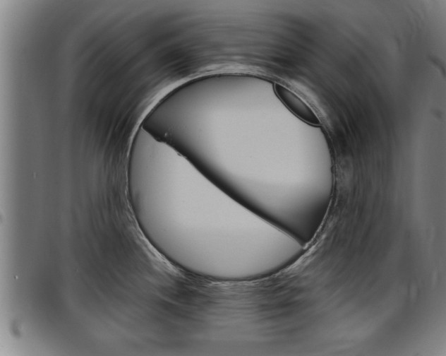 X0000097501244200802220834
