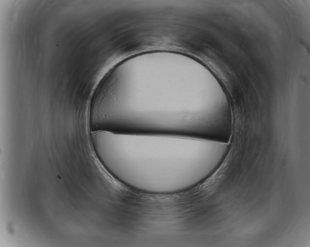 X0000097501246200802220834