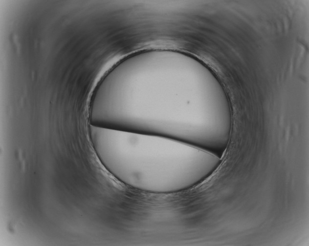X0000097501248200802220834