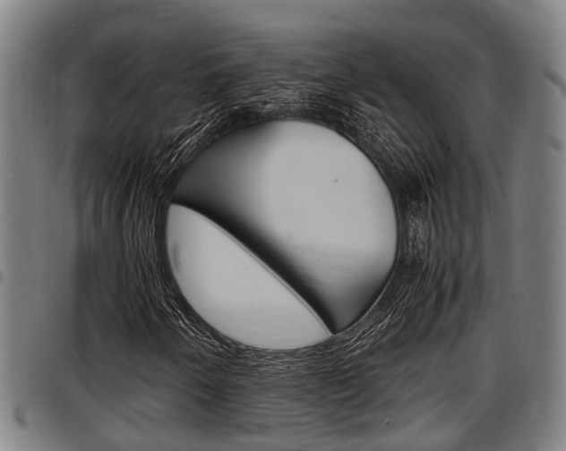 X0000097501250200802220833