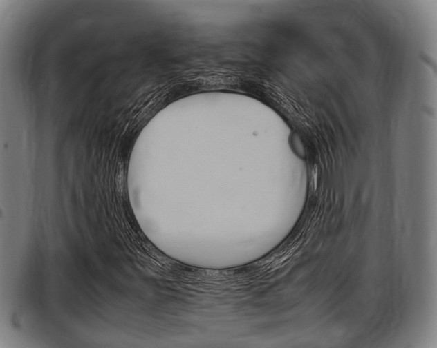 X0000097501251200802220833