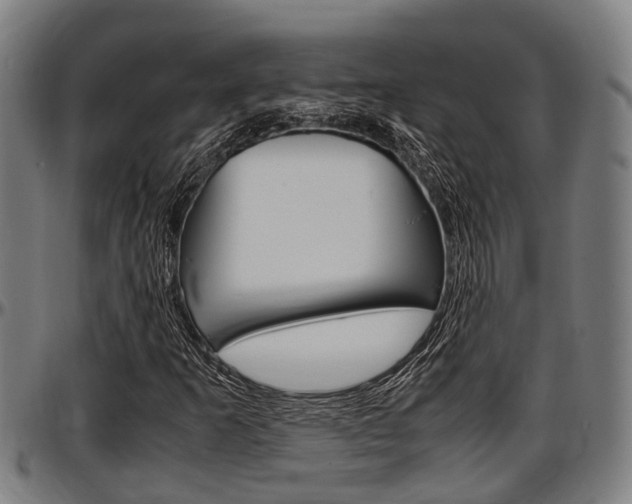 X0000097501253200802220833
