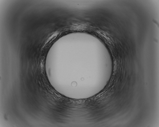 X0000097501254200802220833