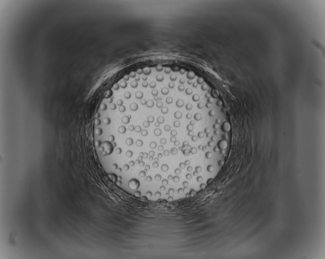 X0000097501255200802220833