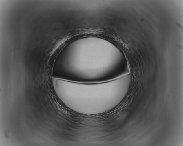 X0000097501256200802220833
