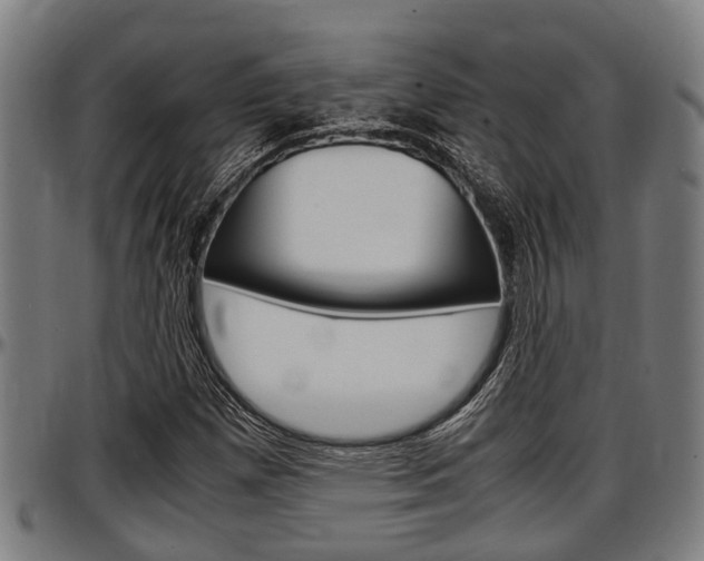 X0000097501257200802220833