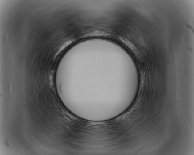 X0000097501258200802220833