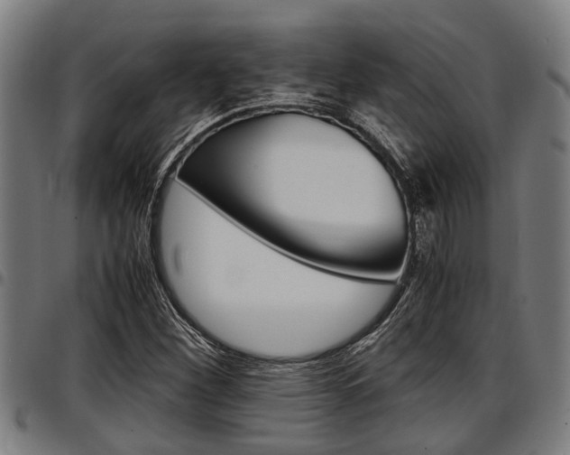 X0000097501260200802220833