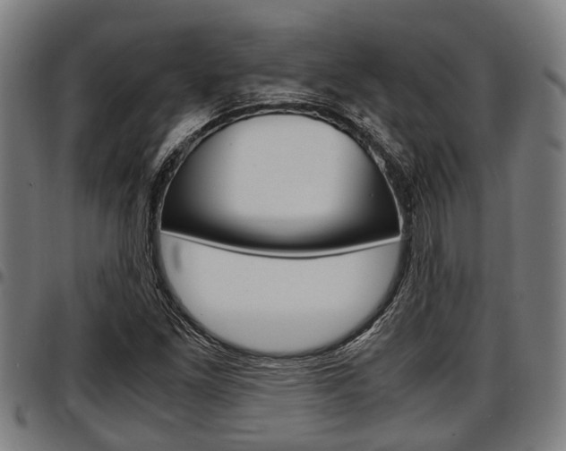 X0000097501261200802220833