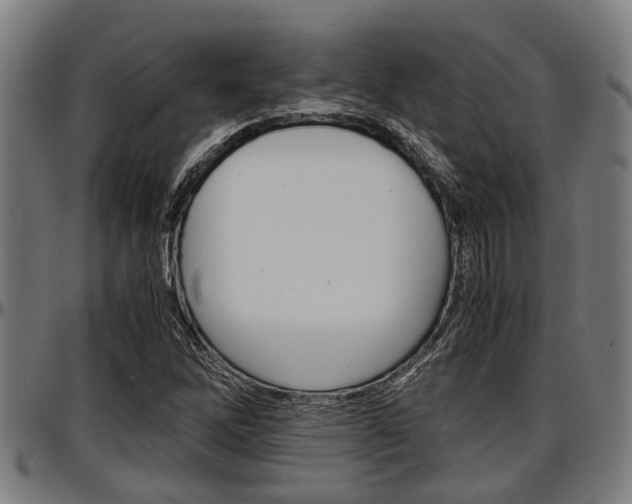 X0000097501262200802220833