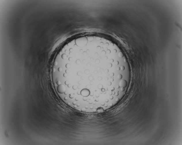 X0000097501263200802220833