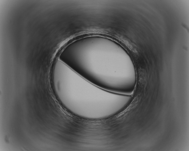 X0000097501264200802220833