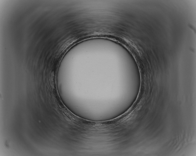 X0000097501265200802220833