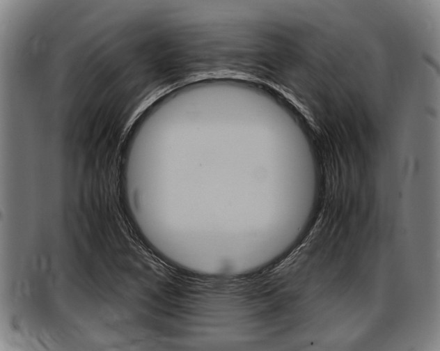X0000097501266200802220833