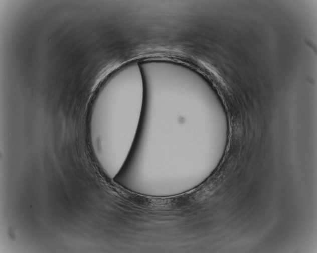 X0000097501267200802220833