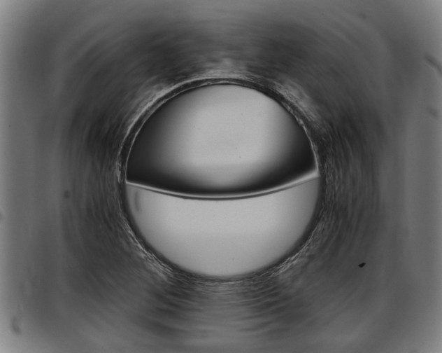 X0000097501268200802220833