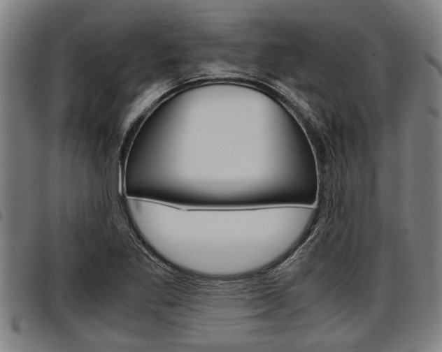 X0000097501269200802220833