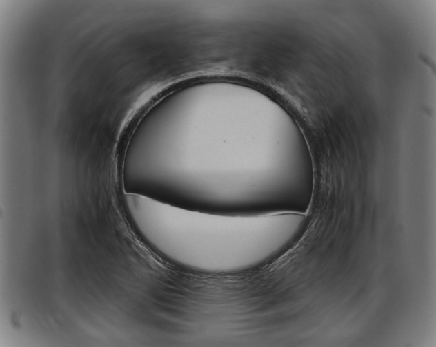 X0000097501270200802220833