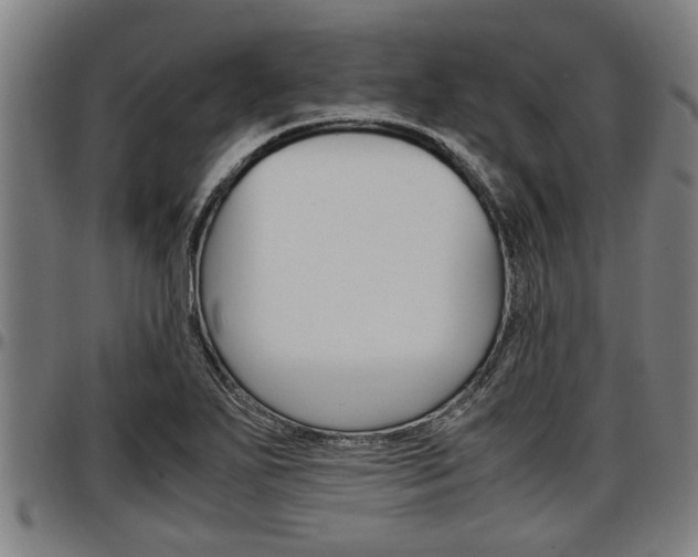 X0000097501271200802220833
