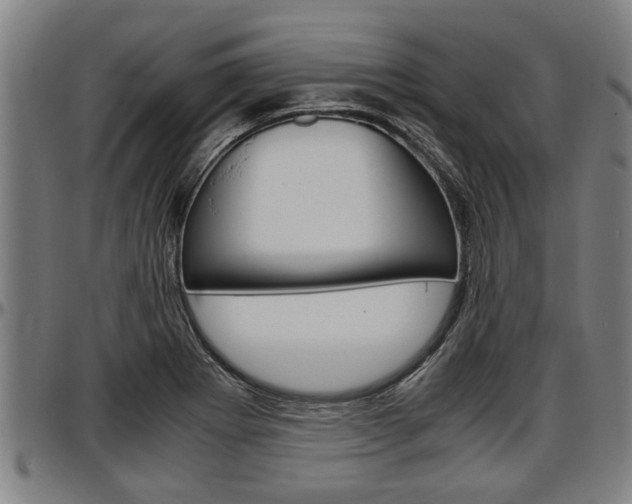 X0000097501273200802220833