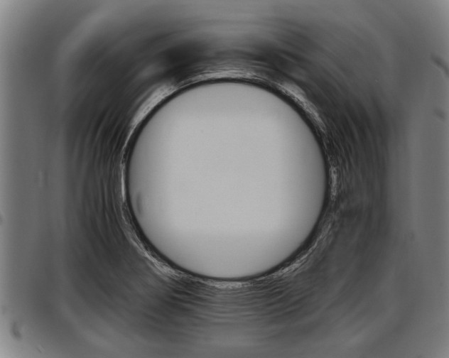 X0000097501274200802220833