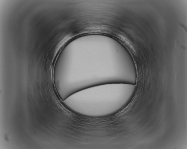 X0000097501275200802220833