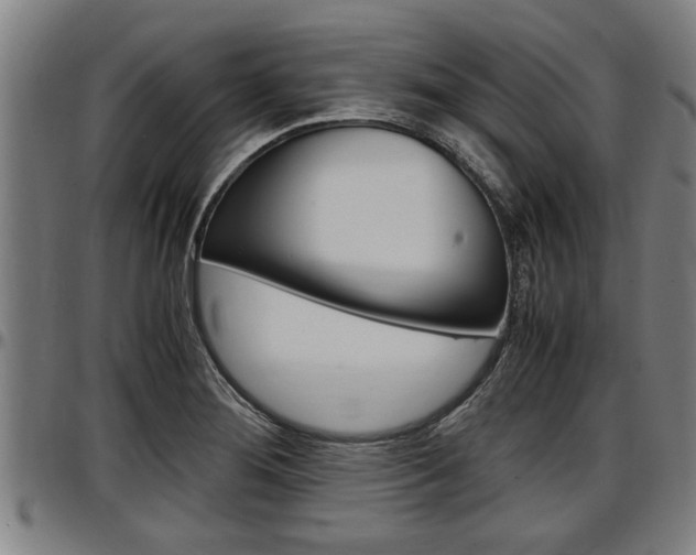 X0000097501276200802220833