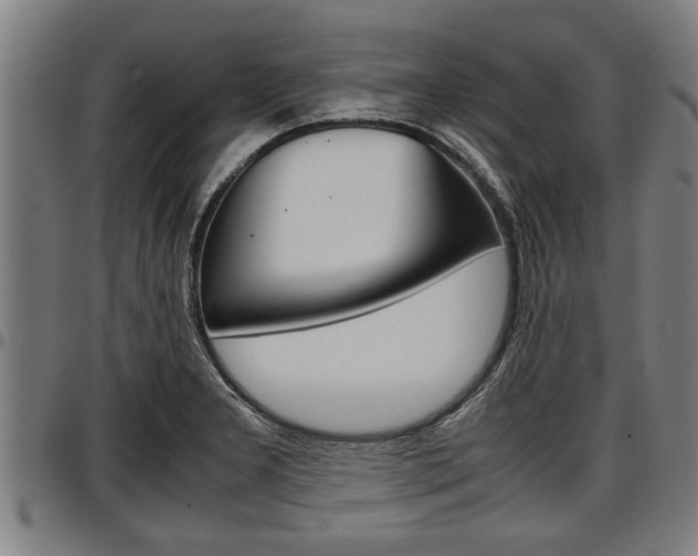 X0000097501277200802220833