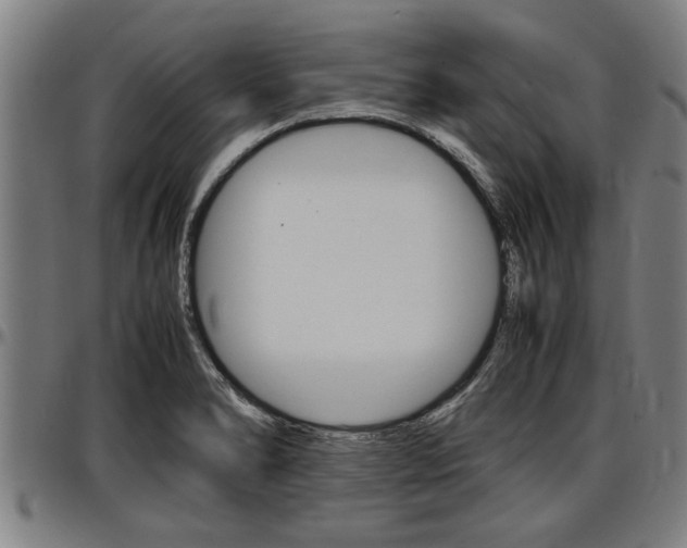 X0000097501278200802220833