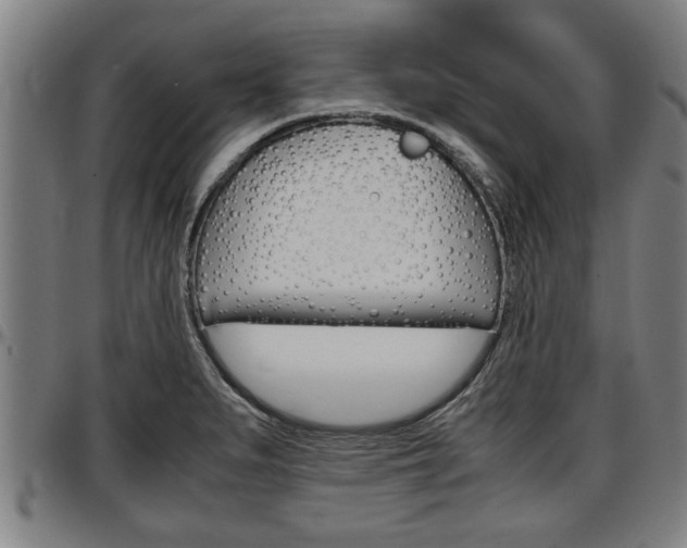 X0000097501279200802220833