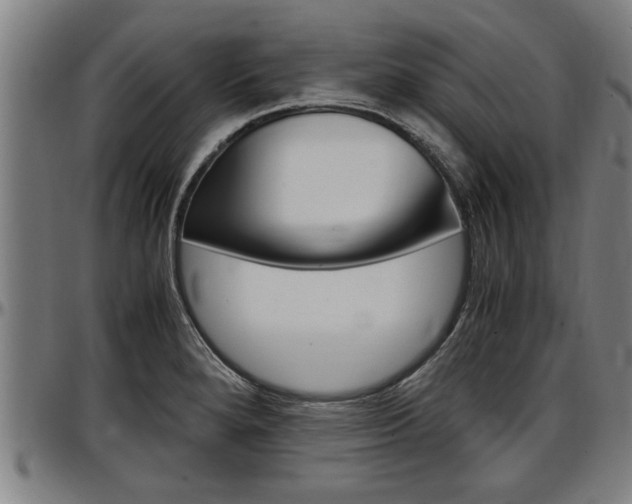 X0000097501280200802220833