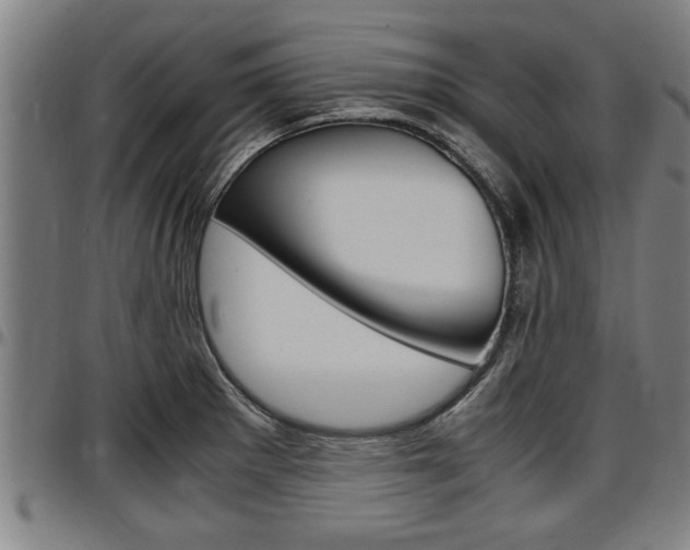 X0000097501281200802220833