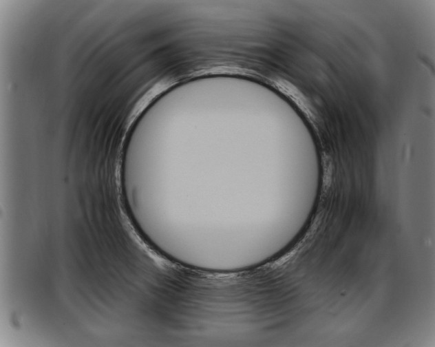 X0000097501282200802220833