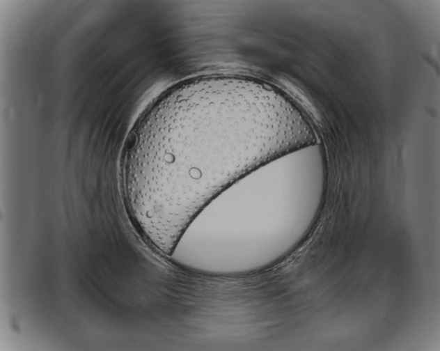 X0000097501283200802220833